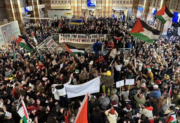 Protesters hold sit-ins across Netherlands in solidarity with Palestine