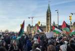 الآلاف يشاركون في مسيرة حاشدة دعما لفلسطين في كندا