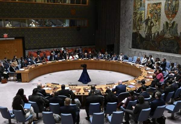 Arab Group calls on UN Security Council to take action on Gaza