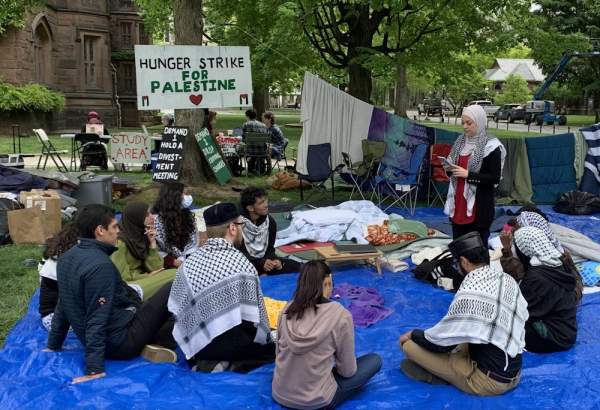 Princeton faculty members joint pro-Palestine hunger strike