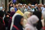 Egyptian cleric stresses fighting Islamophobia towards global unity
