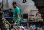 500 health workers killed since beginning of Israeli war on Oct 7