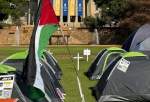 South African university students join global protest on campuses in solidarity with Palestine
