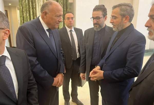 Le ministre égyptien des Affaires étrangères rencontre Bagheri Kani lors de sa première visite en Iran