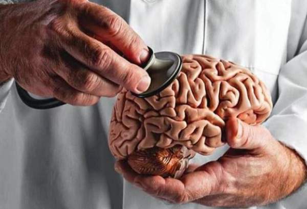 شناسایی مواد مغذی حیاتی برای سلامت مغز