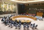 UNSC set to vote on draft resolution to stop Israeli aggression in Rafah