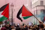 Criminal complaint filed in Belgium over police use of force at pro-Palestine protest