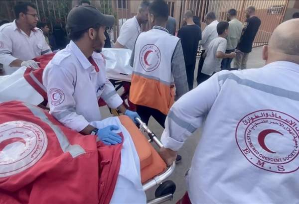 IFRC head says killings of healthcare workers 