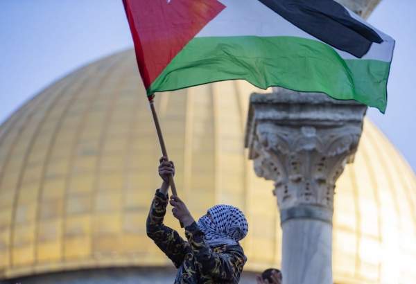 France: parliamentarians wear Palestinian flag colours during National Assembly session