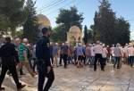 OIC slams Israeli settlers’ defiling of al-Aqsa mosque