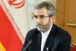 باقری: ایران بلندترین صدا علیه جنایات رژیم صهیونیستی در ۸ ماه گذشته بوده است