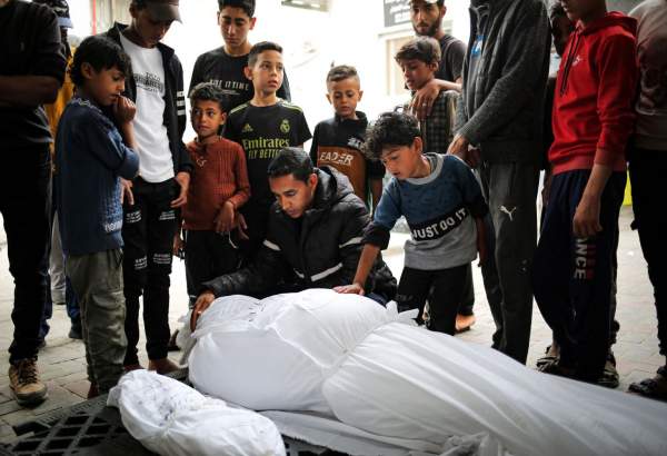 283 Palestinians killed in 8 Israeli massacres in Gaza in 24 hours