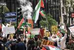 New York pro-Palestine protest turns violent (video)