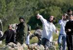 Hamas deplores Israeli settlers’ violence against Palestinians in West Bank