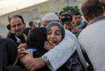 Israeli forces kill over 100 Palestinians during three massacres in Gaza in 24 hours