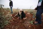 Euro-Med slams Israel for weaponizing starvation, destroying Gaza’s farmlands