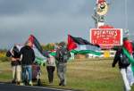 Pro-Palestine Australians take long march demanding ceasefire in Gaza (photo)  