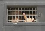 Hamas calls for holding Hamas leaders accountable for torture of Palestinian prisoners