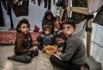 557,000 women in Gaza are currently food insecure: UN Women