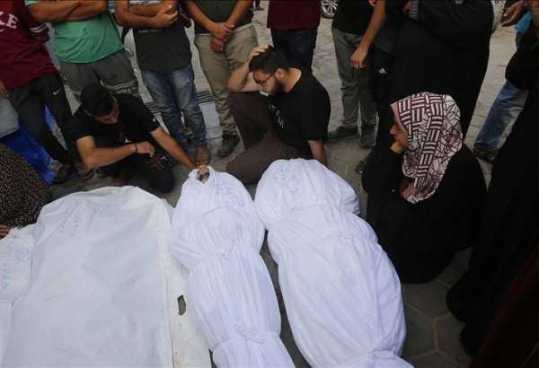 شهادت 40 فلسطینی در 24 ساعت گذشته/ افزایش شهدای نوار غزه به بیش از 37 هزار و 800 نفر
