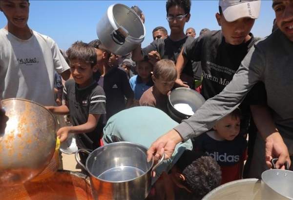 Gaza children spend 8 hours per day carrying food, water: UN