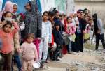UN warns nearly half a million Gazans suffering starvation (video)  <img src="/images/video_icon.png" width="13" height="13" border="0" align="top">