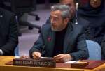 Iran calls UNSC to take action for an end to Israel’s genocide in Gaza