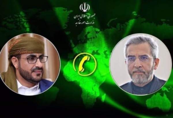 Iran voices solidarity with Yemeni armed forces in face of Israeli atrocities