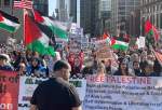 U.S. cities witness protests demanding end to Gaza genocide