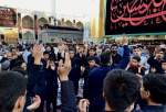 Imam Ali shrine on eve of Arbaeen procession (photo)  