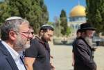 UK, Russia condemn desecration of al-Aqsa Mosque by far-right Israeli minister