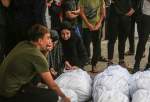 Woman, her 6 children among 20 more Palestinians killed in Israeli attacks on Gaza