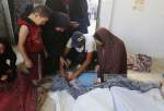 Dozens killed, over 100 injured in fresh Israeli strikes across Gaza Strip