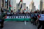 Pro-Palestine activists arrested outside DNC in Chicago (video)  