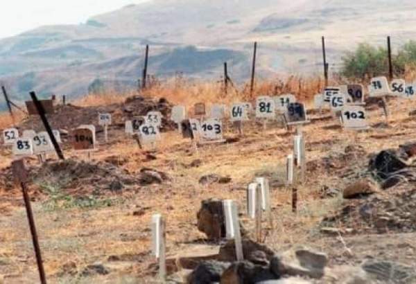 Occupation authorities withhold 552 bodies in cemeteries and refrigerators, says Prisoners