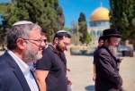 Hamas slams Israeli decision to finance settlers’ incursion into al-Aqsa Mosque