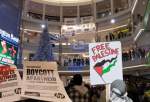 Munich pro-Palestine protest raises awareness on Israel’s ongoing war in Gaza (video)