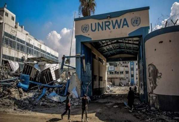 70% of UN-run schools in Gaza ‘damaged or destroyed’ in Israeli bombings