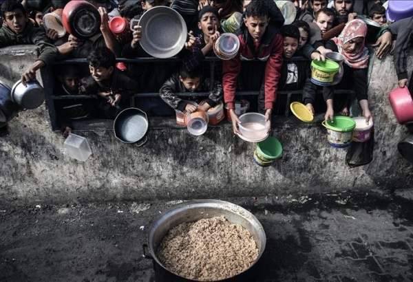 UN report: Global hunger crisis at its worst in Gaza