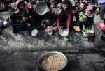 UN report: Global hunger crisis at its worst in Gaza