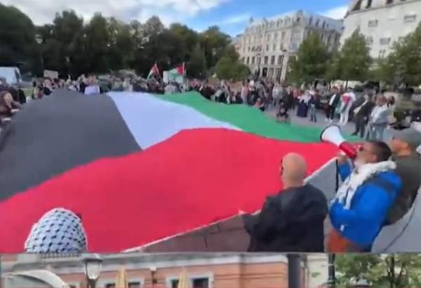 Des Norvégiens manifestent en soutien à la Palestine