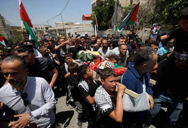 Gaza death toll reaches 41,226 amid relentless Israeli assault