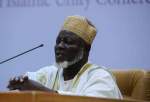 Ghanaian scholar: Duty for Islamic Ummah to back Palestine