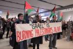 Netherlands demos condemn Israeli genocide in Gaza (video)  