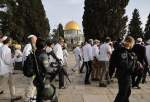 Hundreds of Israeli settlers storm al-Aqsa Mosque