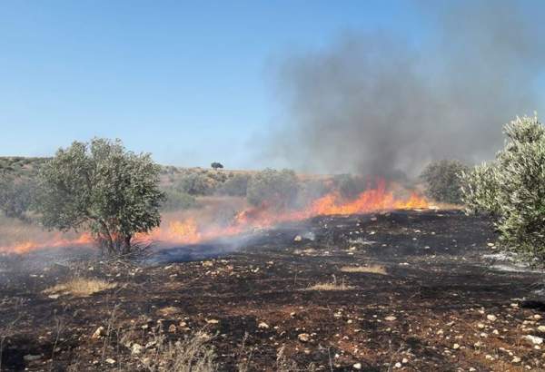 Crash de drones dans le nord de la Jordanie