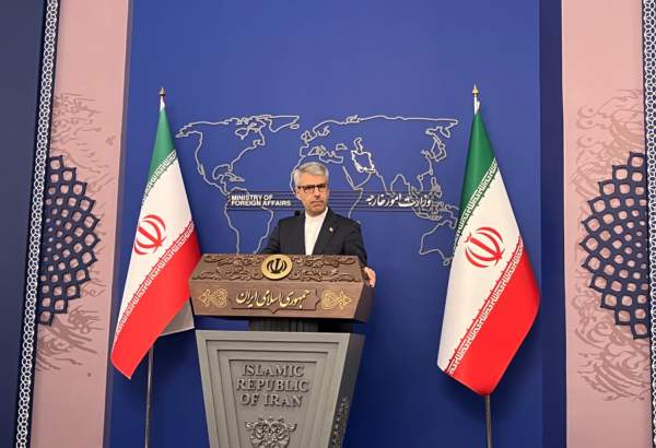 Iranians Never Forget US Dark Record: MFA Spox