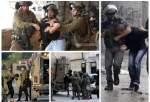 15 Palestinians detained by Israeli occupation forces in West Bank