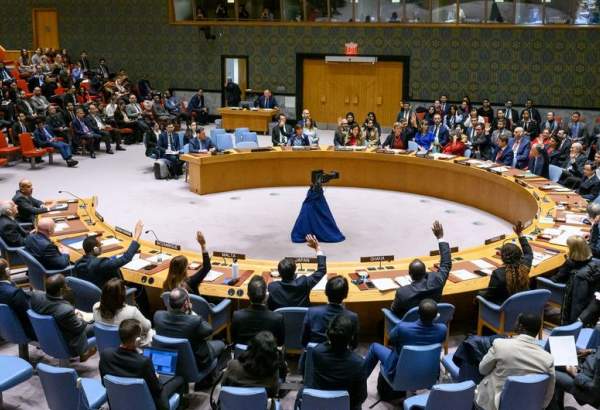 UNSC calls for immediate end to ongoing Israeli aggression against Gaza