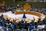 UNSC calls for immediate end to ongoing Israeli aggression against Gaza